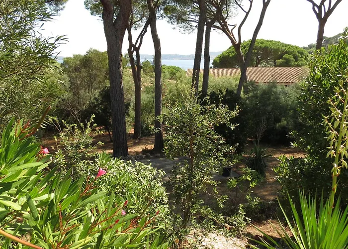 Maison 4 Pieces Vue Mer, 6 Pers, Animaux Ok, Piscines - Fr-1-780-13 Sainte-Maxime